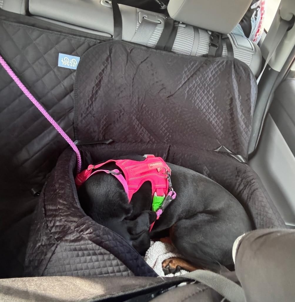 Dog Car Seat for Large Dogs up to 60 lbs or 2 Small Dogs with 4