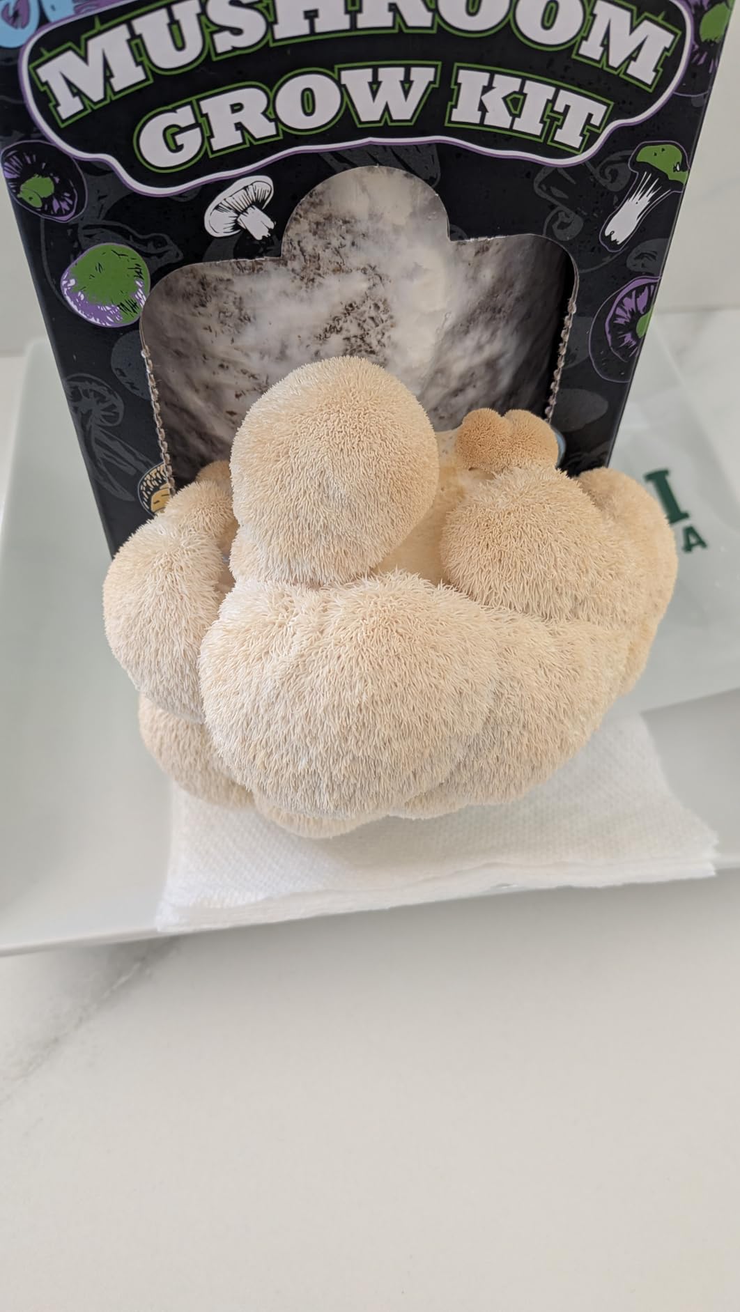 Organic Mushroom Growing Kit, Lion's Mane Mushroom Grow Kit with All Accessories, USDA Certified Organic, Non-GMO, Easy to Grow at Home customer photo 1