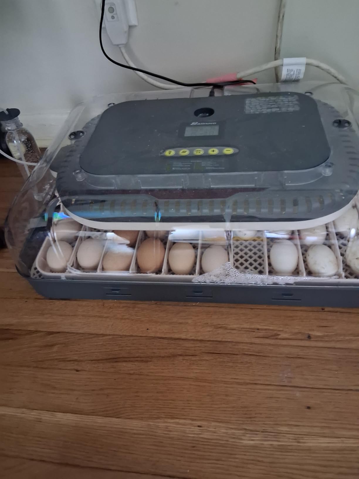 Sailnovo Incubators for Hatching Eggs 70 Egg Incubator with Auto Egg Turning and Auto Humidification, Temperature Control, Incubator for Chicken Duck Quail Eggs, Perfect for Lab School Farm, Grey customer photo 2
