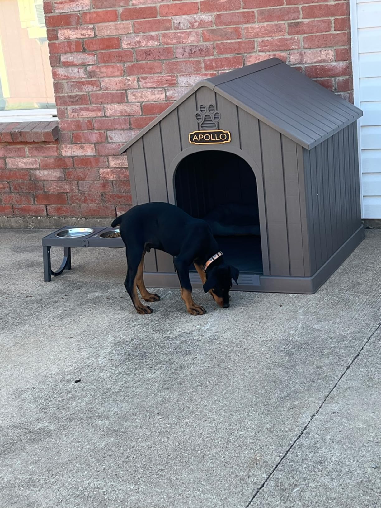 Fancyango Large Dog House Outdoor Indoor for Medium Large Dogs, Sturdy Plastic Waterproof Doghouse with Air Vents and Elevated Floor, Easy Clean and Assemble (Light Grey, 36.2''L×38''W×38''H) customer photo 1