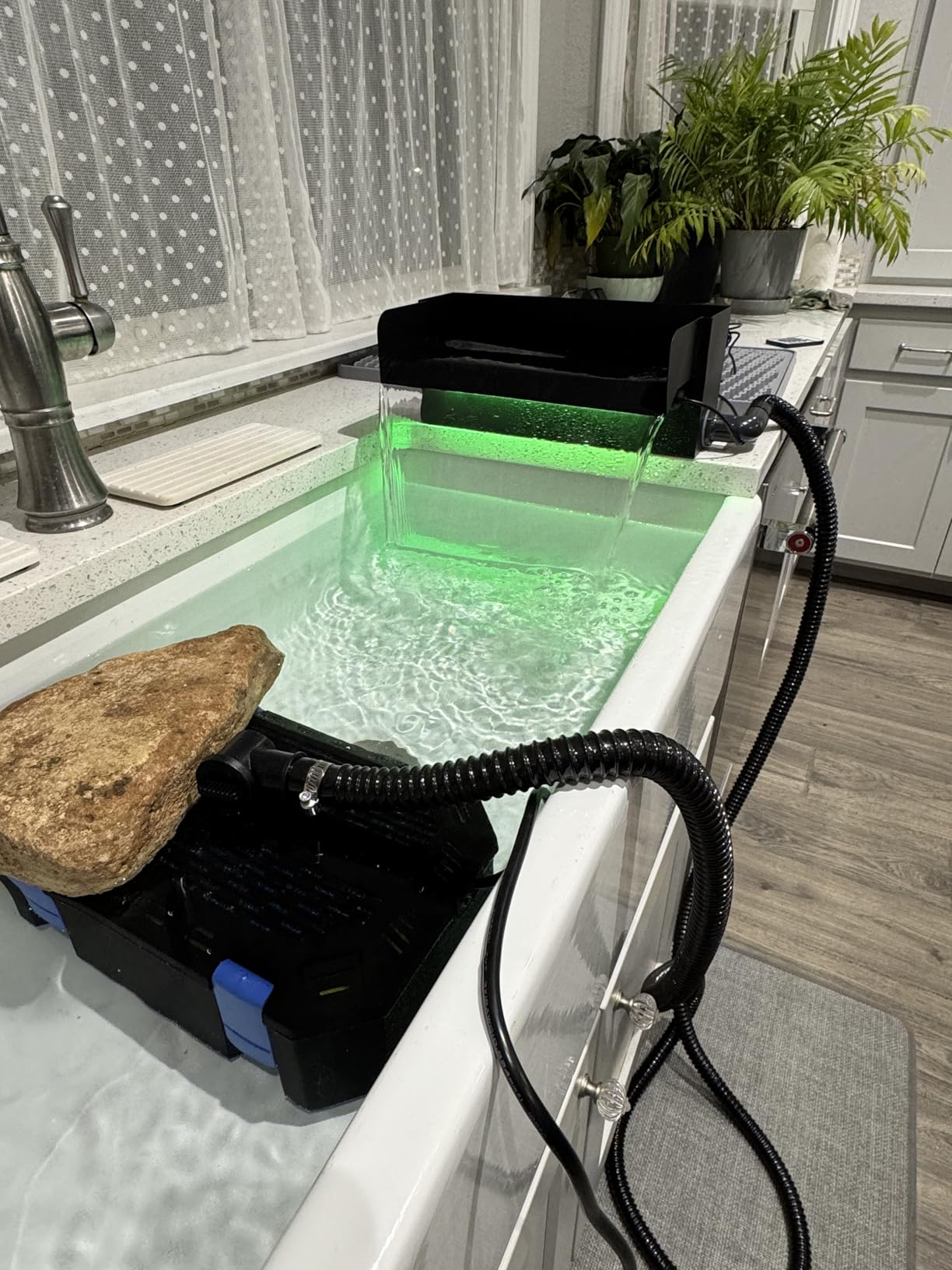 All-in-1 Pond Waterfall Kit with 550GPH Pond Filter Pump, 8-inch Stainless Steel Spillway with LED Lights customer photo 1