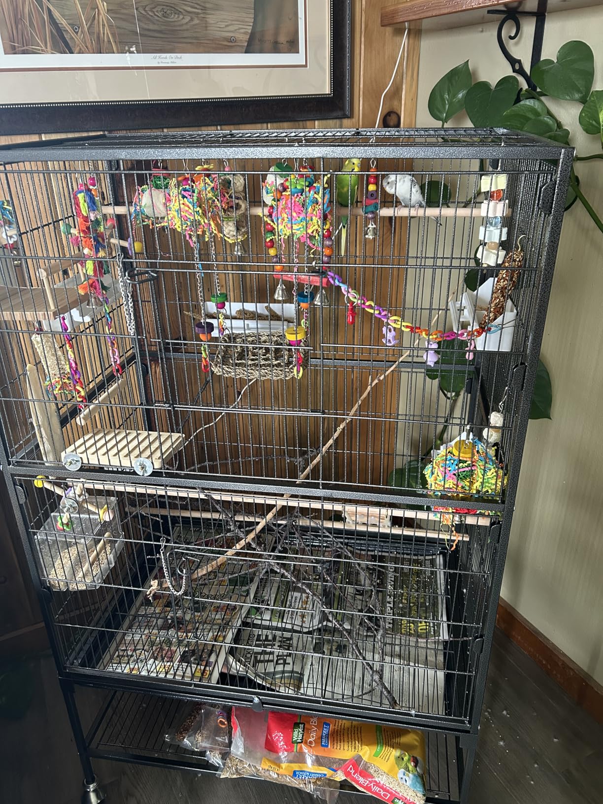 VEVOR Bird Cage, 24.6 x 16.7 x 53.9 inch, Flat Top, Wrought Iron Bird Flight Cage with Perches customer photo 1