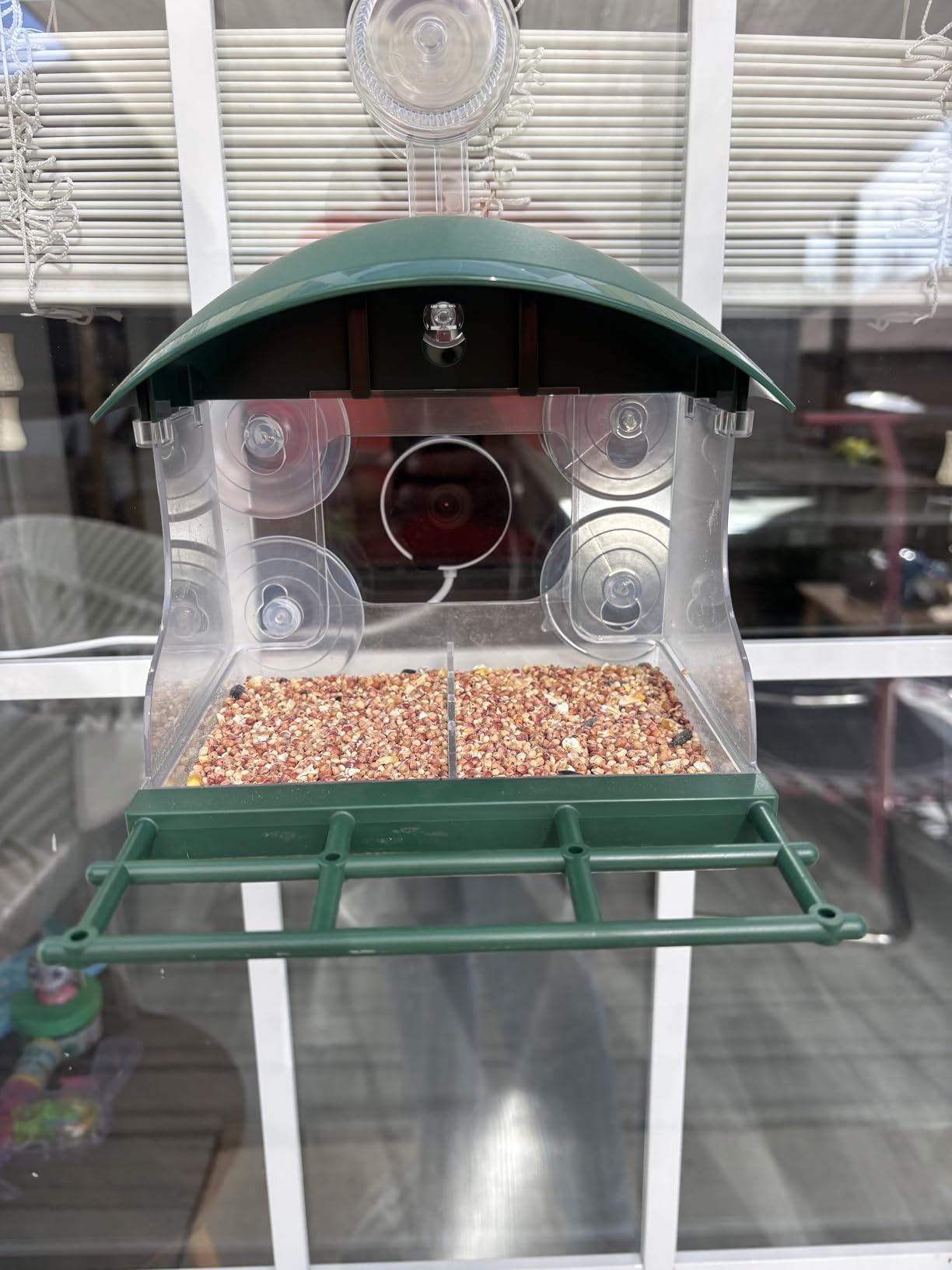 Window Bird Feeder with Camera,2K Live Video,AI Bird Identification,Instant Arrival Alerts,24/7 Recording,Support 2.4G/5G WiFi,SD Card&Cloud Storage,Featuring 5 Strong Suction Cups. customer photo 2