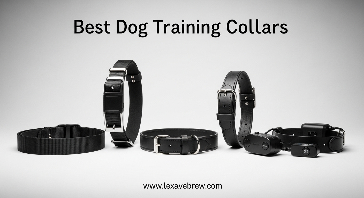 Best Dog Training Collars