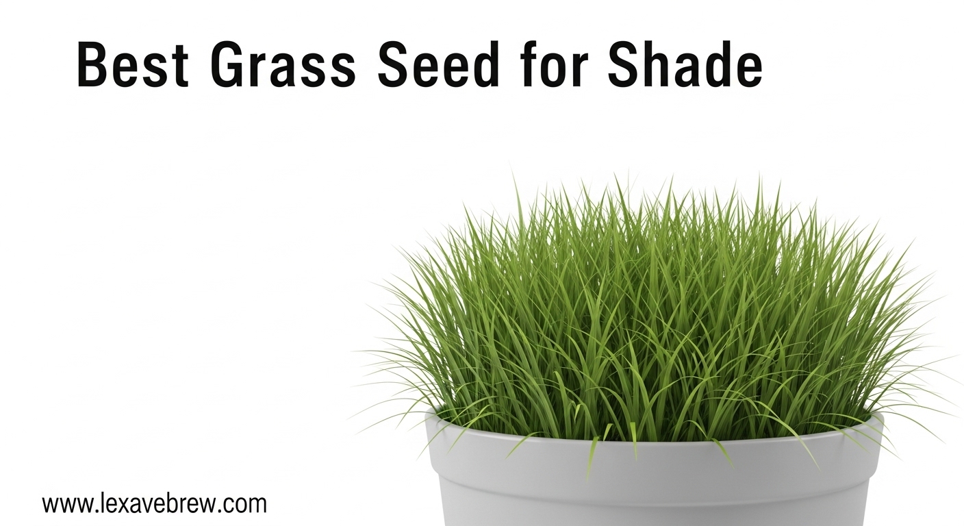 Best Grass Seed for Shade