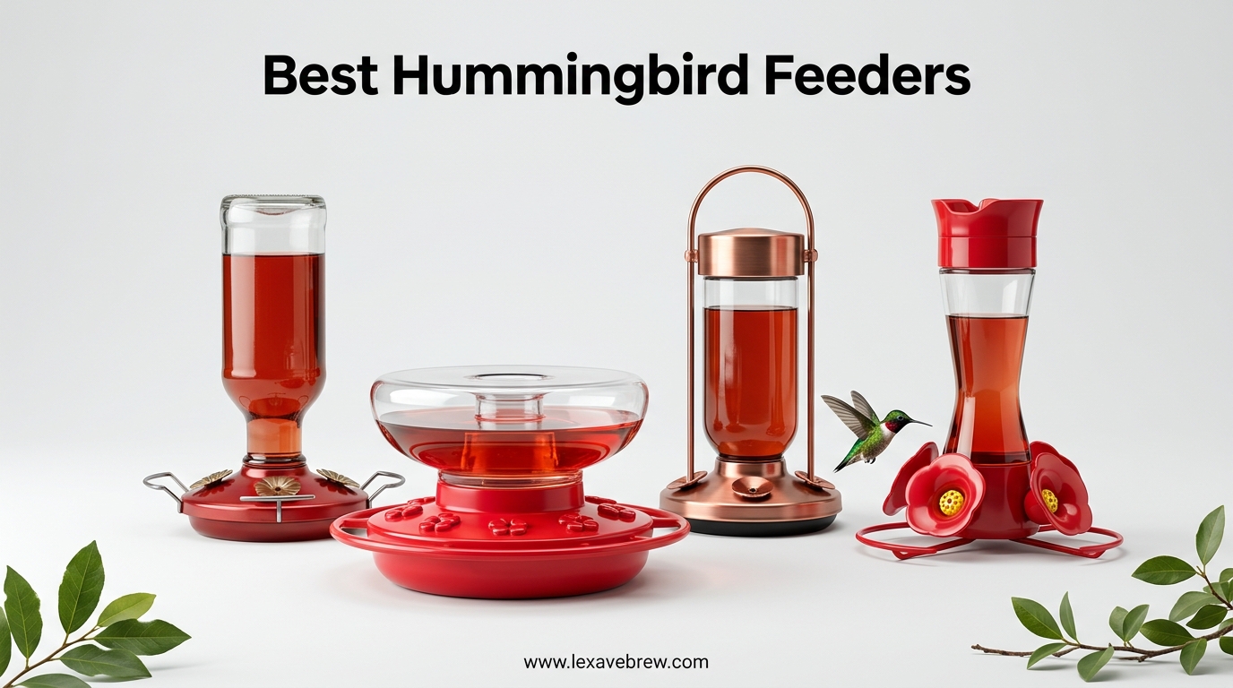 Best Hummingbird Feeders
