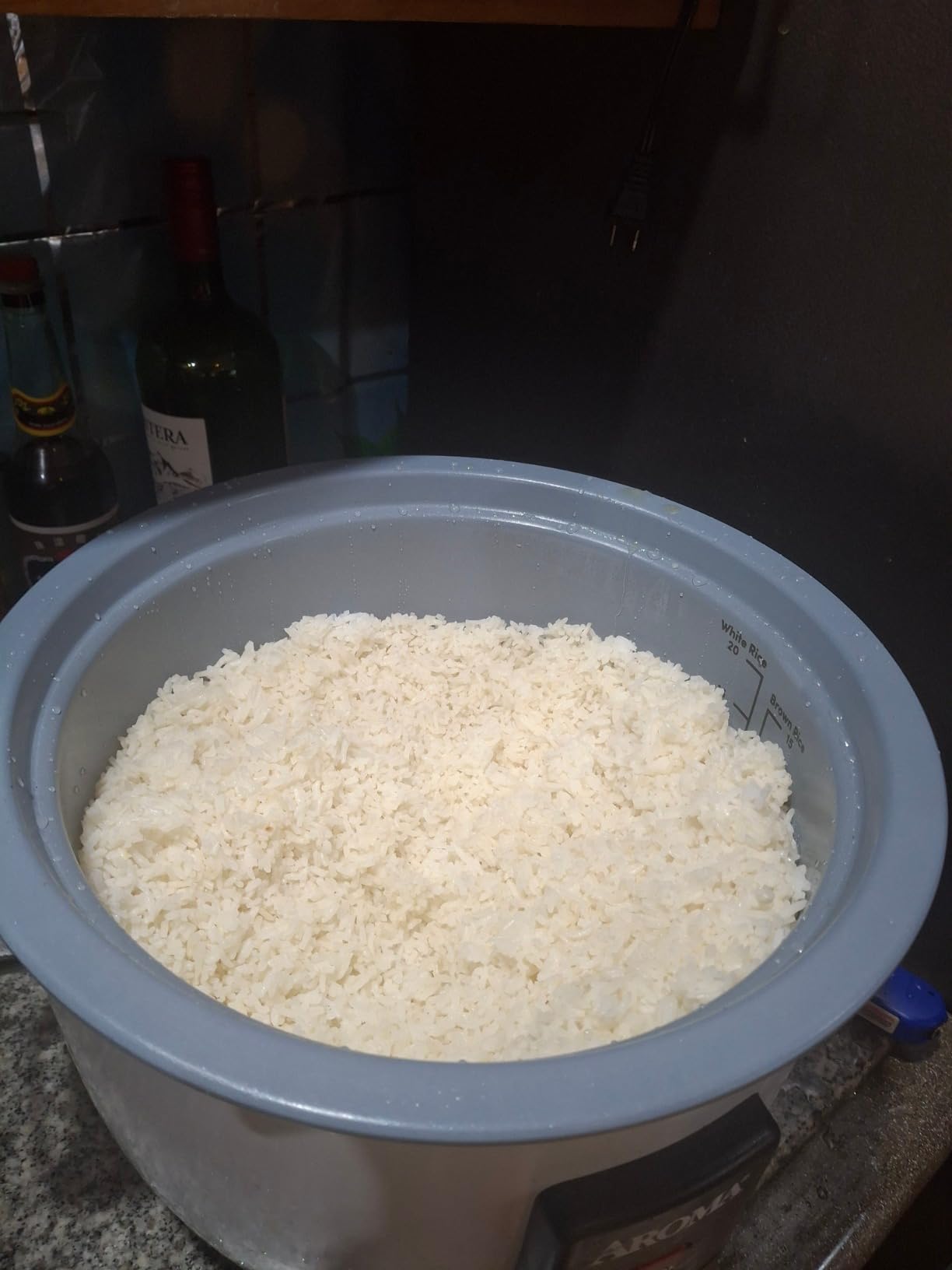 Aroma Housewares 60-Cup (Cooked) (30-Cup UNCOOKED) Commercial Rice Cooker (ARC-1033E),White customer photo 2