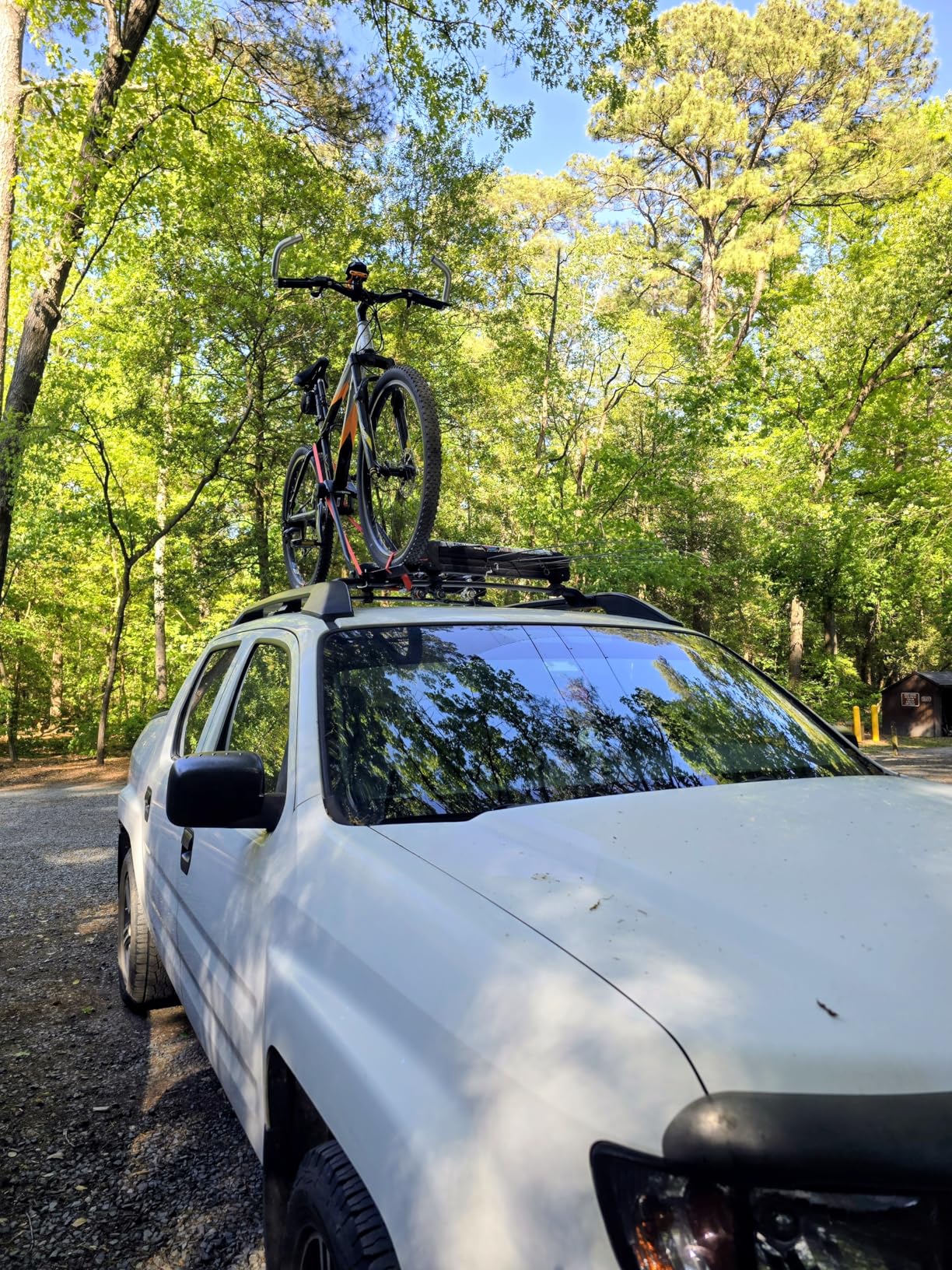 Swagman Upright Roof Mount Bike Rack For Car Roof Rack - Single Bicycle Carrier, Black customer photo 2