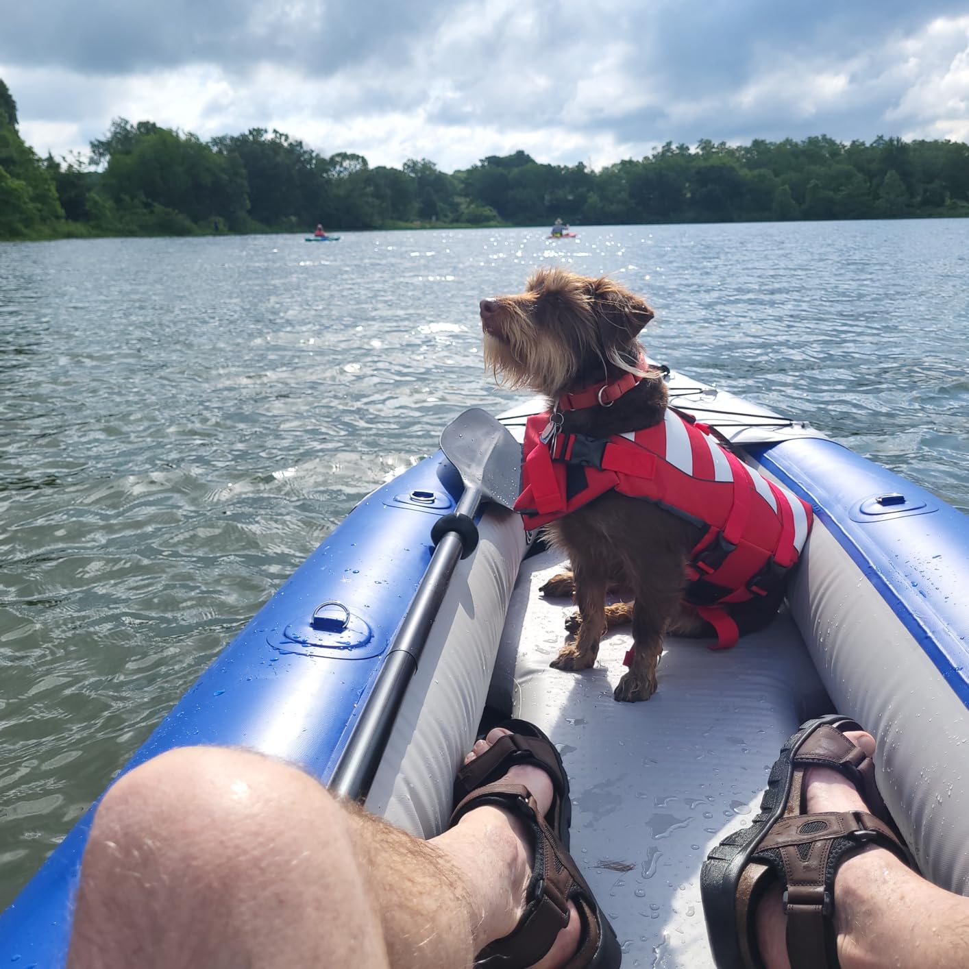 Sea Eagle 420X Explorer Inflatable Kayak - Self Bailing, Removable Skeg, Drop Stitch Floor customer photo 2