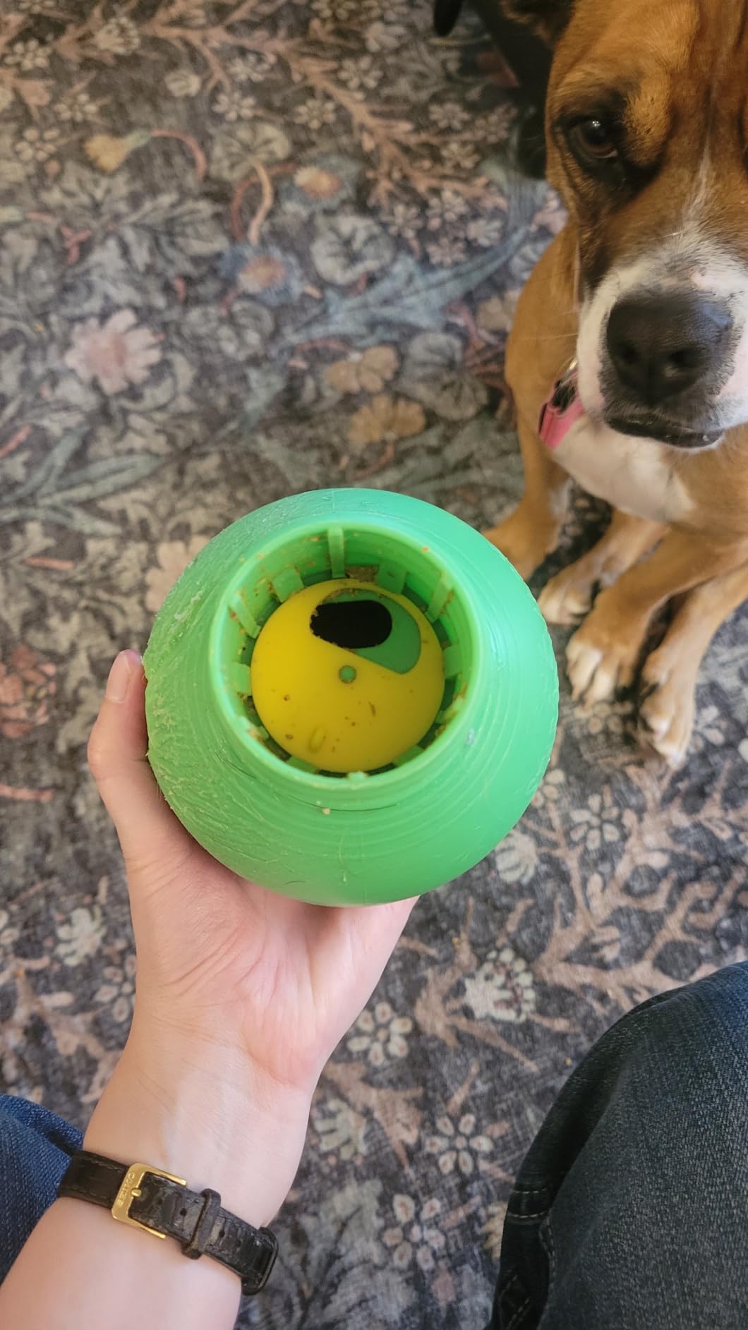 Starmark Bob-A-Lot Interactive Dog Pet Toy, Large, Yellow/Green/Purple customer photo 1