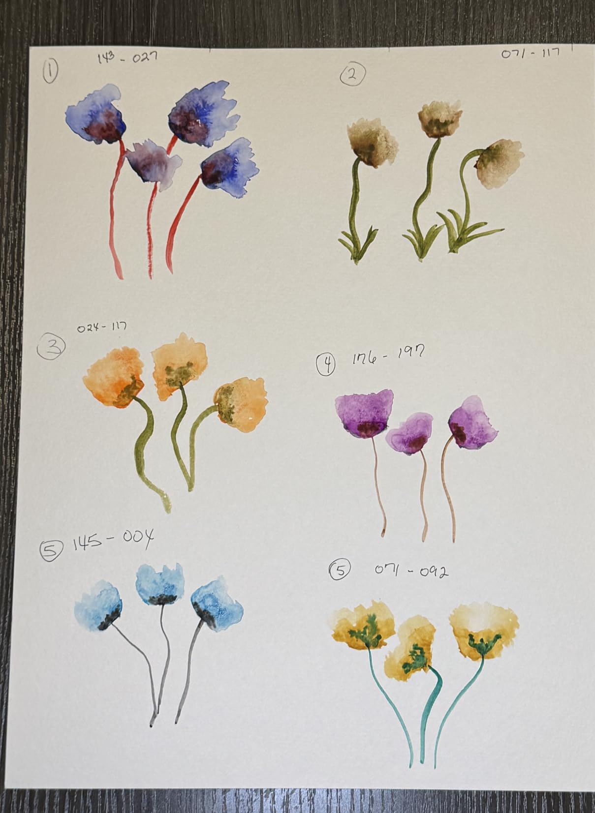 SAKURA XNCW-24N, 24 Assorted Watercolors Field Sketch Set with Brush customer photo 2