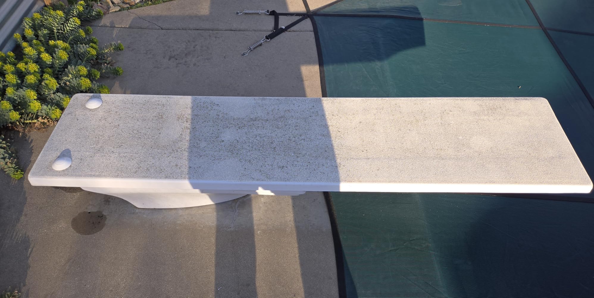 S.R. Smith 66-209-270S2-1 Fibre-Dive Replacement Diving Board, 10-Feet, Radiant White customer photo 1