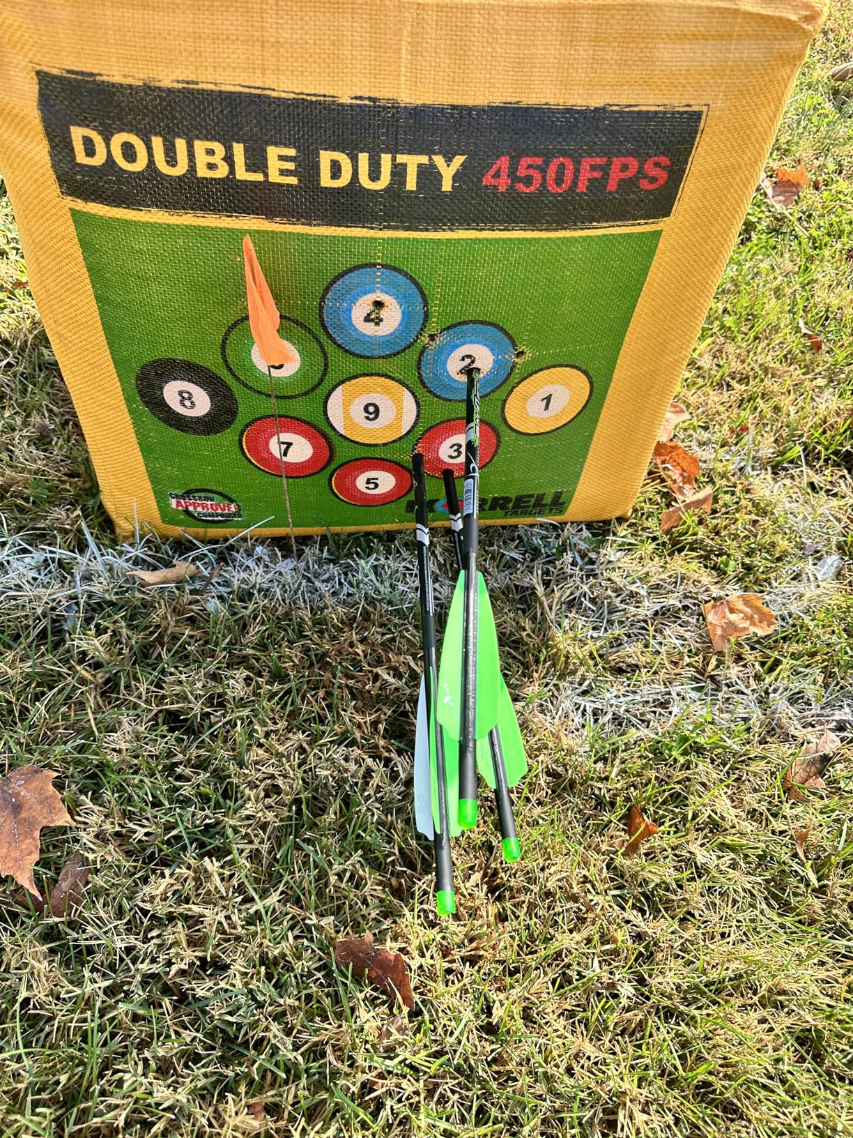 Morrell Double Duty 450 FPS Cube Field Point Archery Bag Target with Traditional Bullseyes, Nine-Ball, Dartboard Game, and Deer Vitals, Yellow customer photo 1