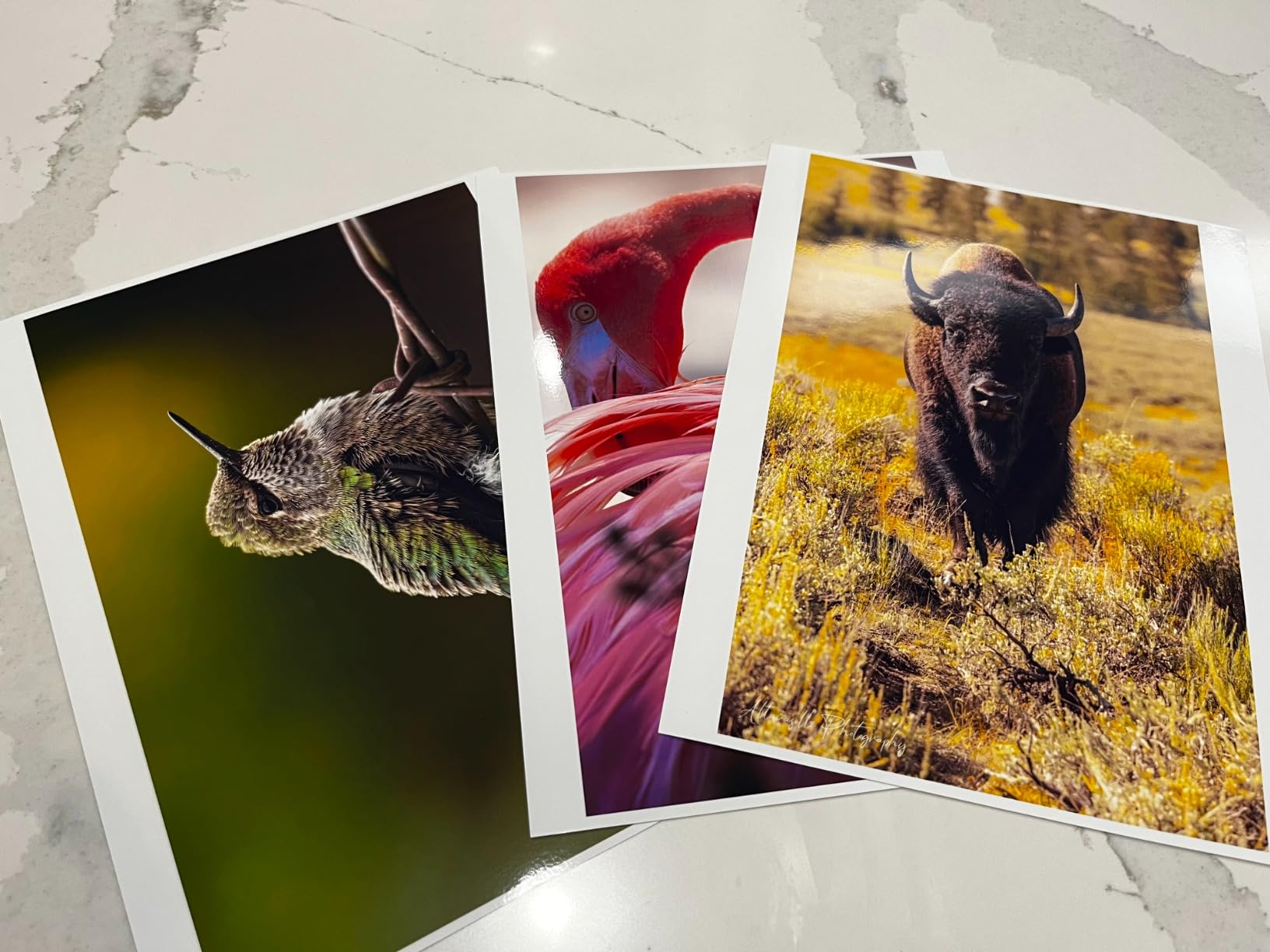 HP Premium Plus Photo Paper - Designed for HP Inkjet Printers, Glossy, 8.5x11 in, 50 sheets (CR664A) customer photo 1