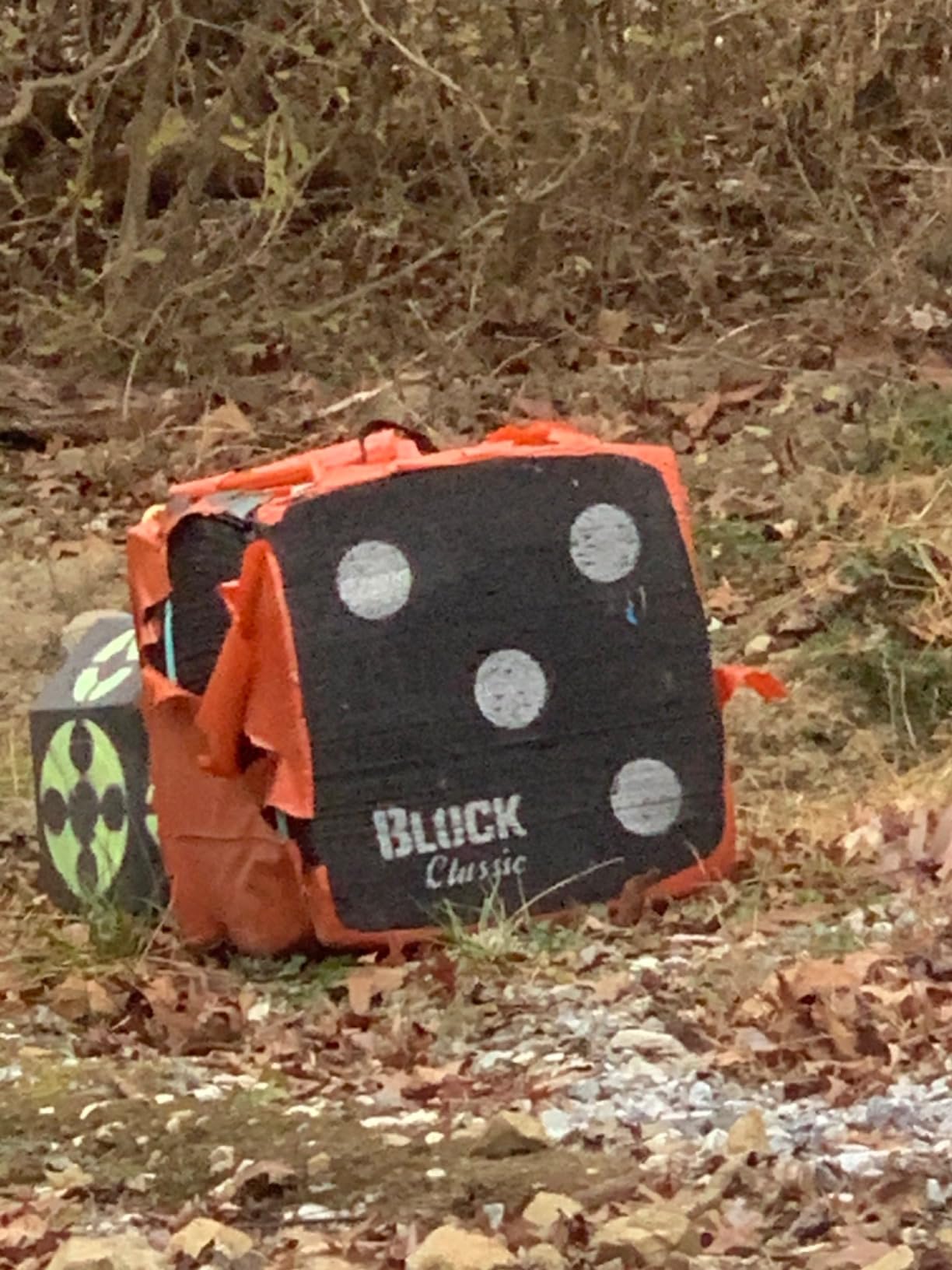 Field Logic Block Classic 18 Archery Target, Black customer photo 2