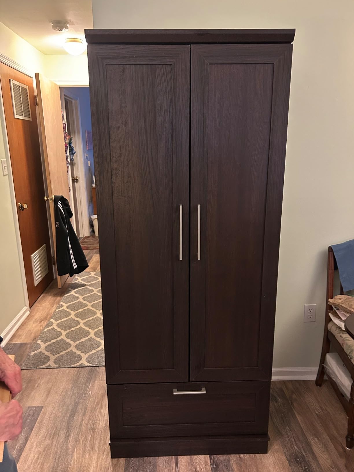 Sauder HomePlus Wardrobe/Pantry Cabinets, L: 28.98