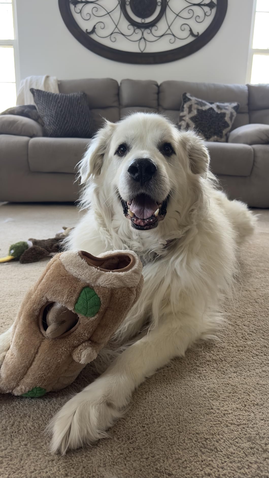 Outward Hound Hide-A-Squirrel Dog Toy - Interactive 2-in-1 Plush Puzzle with 6 Squeaky Removable Squirrels, X-Large customer photo 1