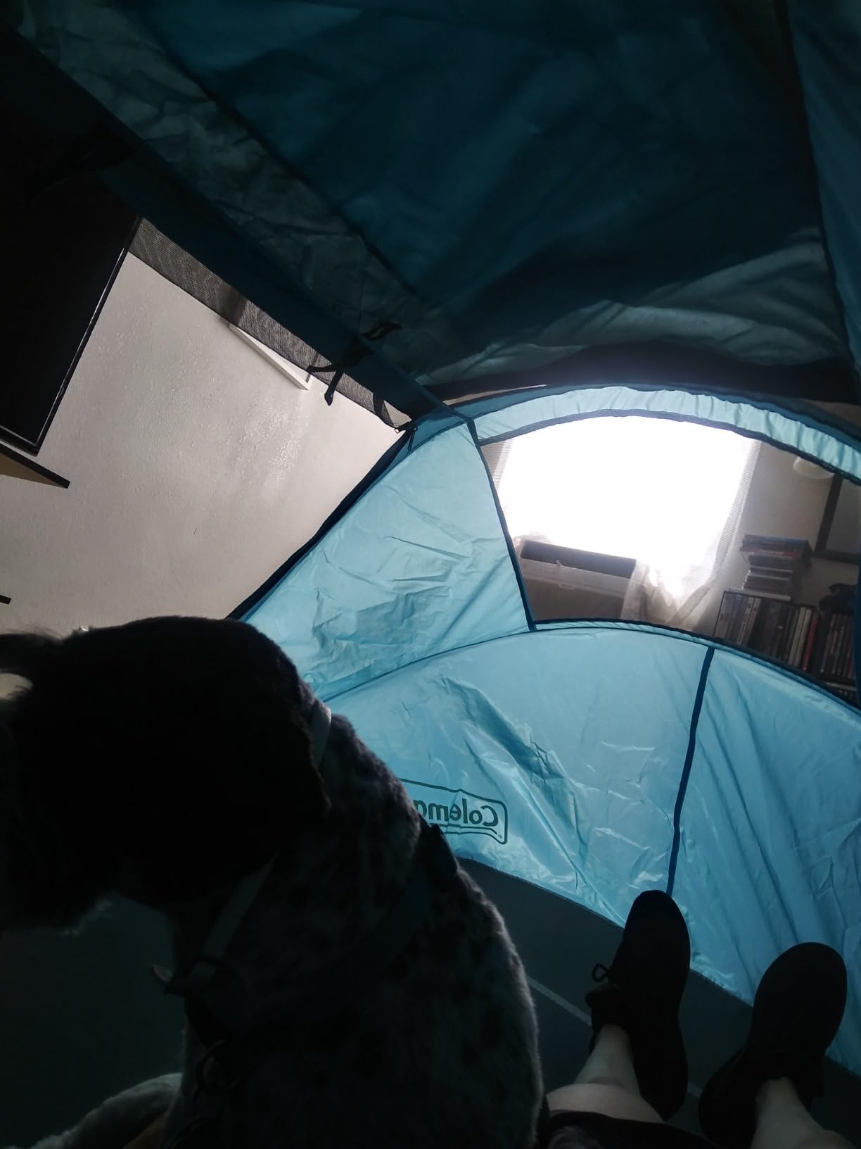 Coleman 2-Person Pop-Up Tent - Instant Setup customer photo 2