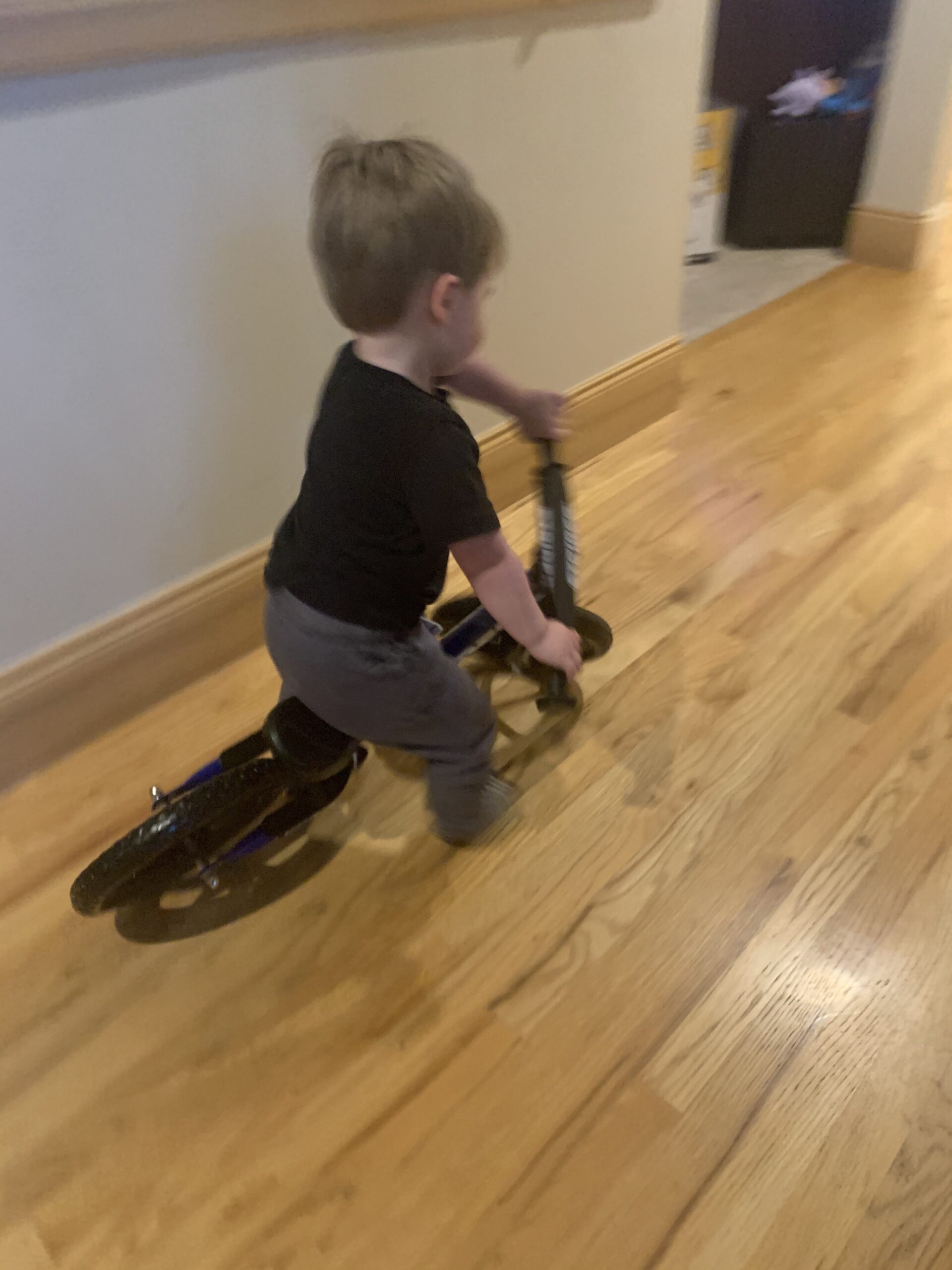 Strider 12