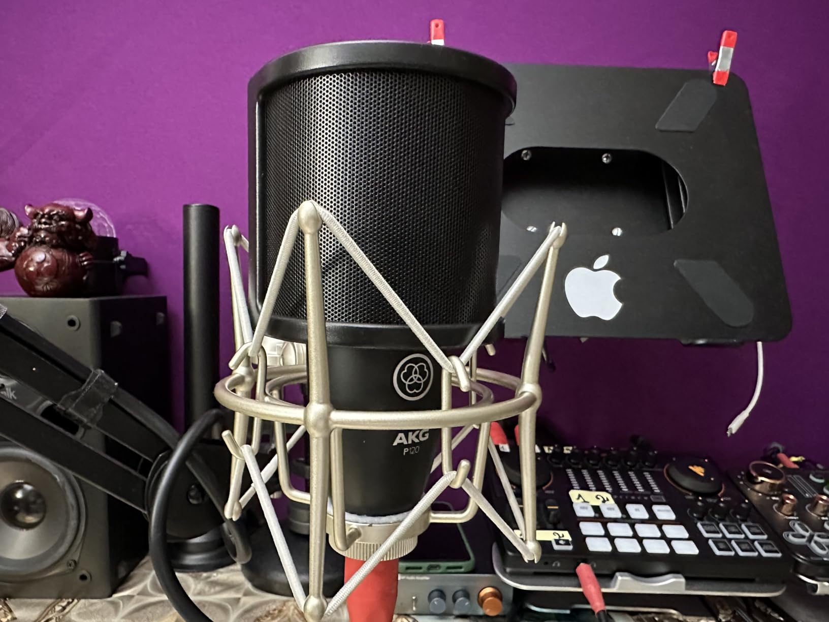 AKG Pro Audio P120 - Affordable 2/3-Inch Diaphragm Condenser Microphone for Clear Vocals & Instruments customer photo 1