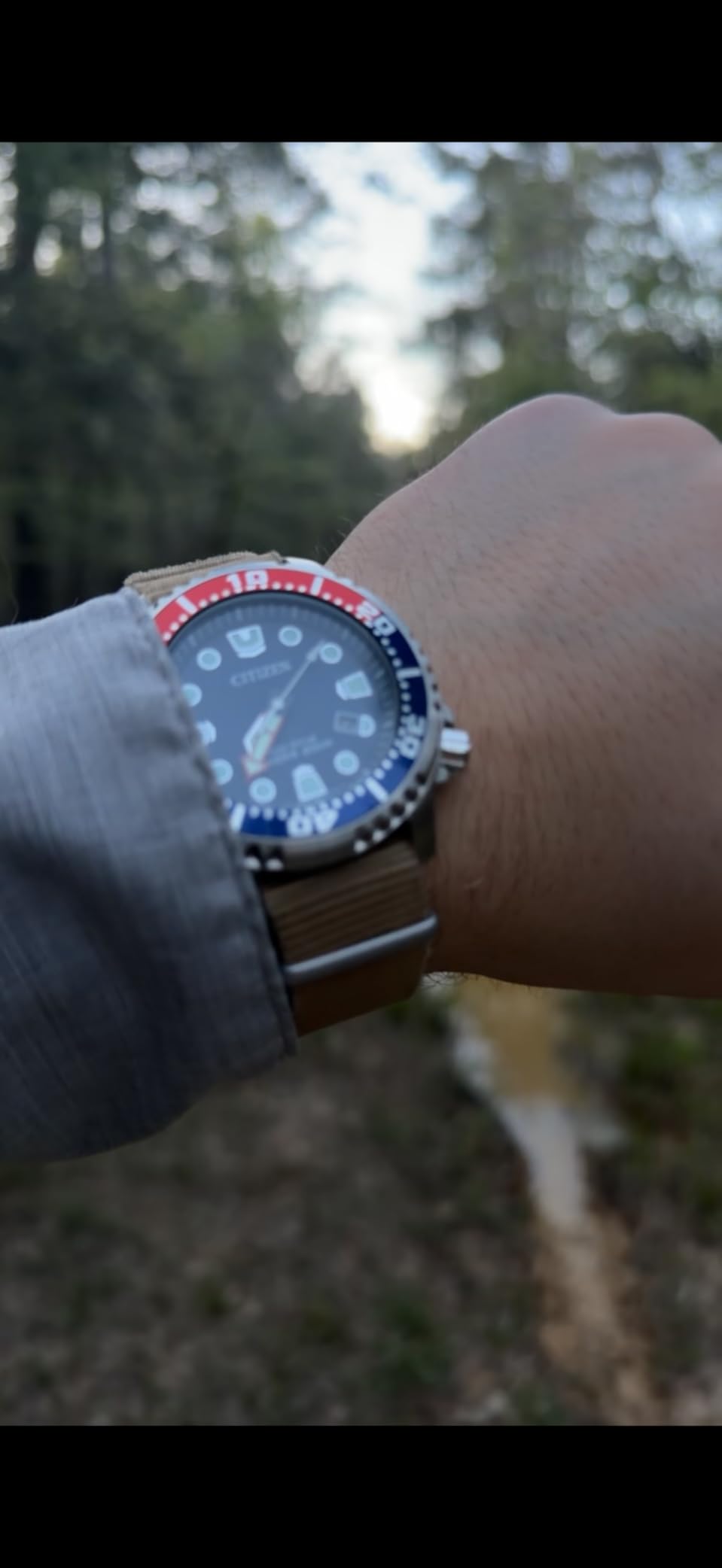 Citizen Promaster Dive Eco-Drive Watch, 3-Hand Date, ISO Certified, Luminous Hands and Markers, Rotating Bezel customer photo 2