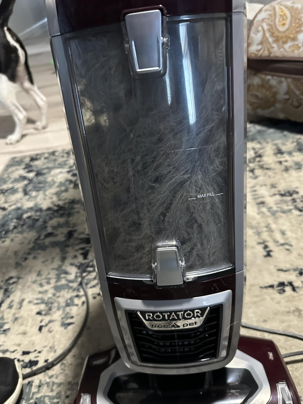 Shark NV752 Rotator Powered Lift-Away TruePet Upright Vacuum with HEPA Filter, Large Dust Cup Capacity, LED Headlights, Upholstery Tool, Perfect Pet Power Brush & Crevice Tool, Bordeaux customer photo 1