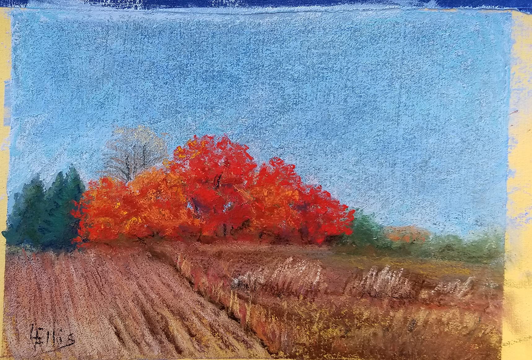 SENNELIER Extra-Soft French Half Pastel Landscape Professional Artist Box Set, 30-Colors customer photo 2