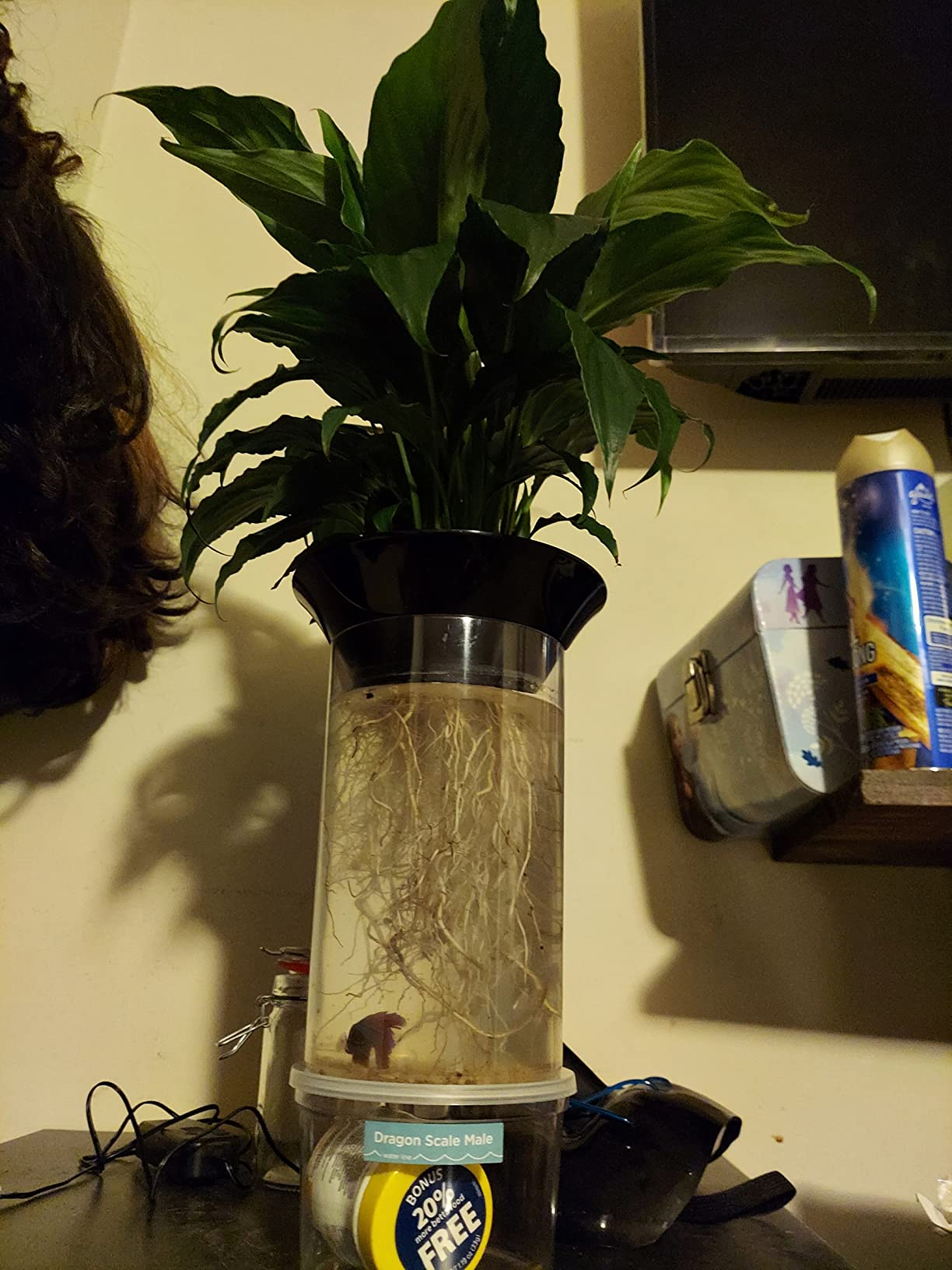 Penn-Plax Aquaponic Planter and Aquarium for Betta Fish Tank Promotes Healthy Hydroponic Environment for Plants and Fish customer photo 2