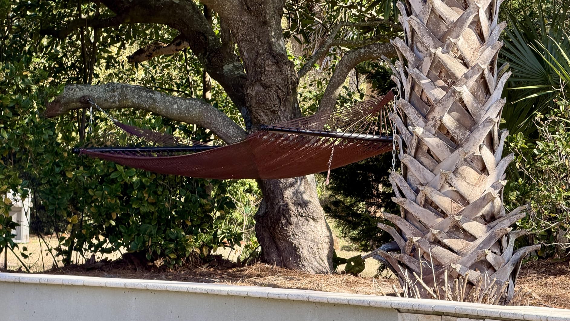 Sunnydaze Soft-Spun Polyester Rope Double Hammock for Outside - 600-Pound Weight Capacity customer photo 1