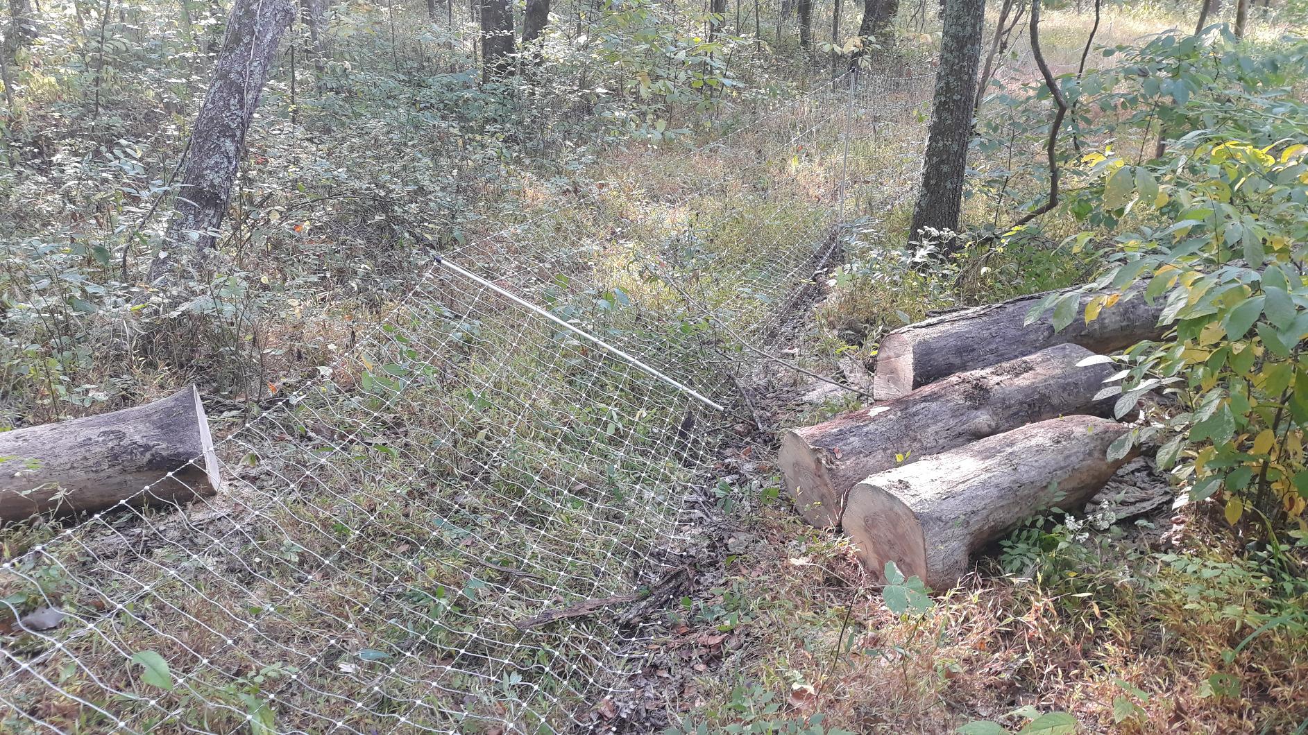 Premier 1 PoultryNet | Electric Fence for Backyard Chickens, Ducks, Turkeys with Step-in Posts - 48