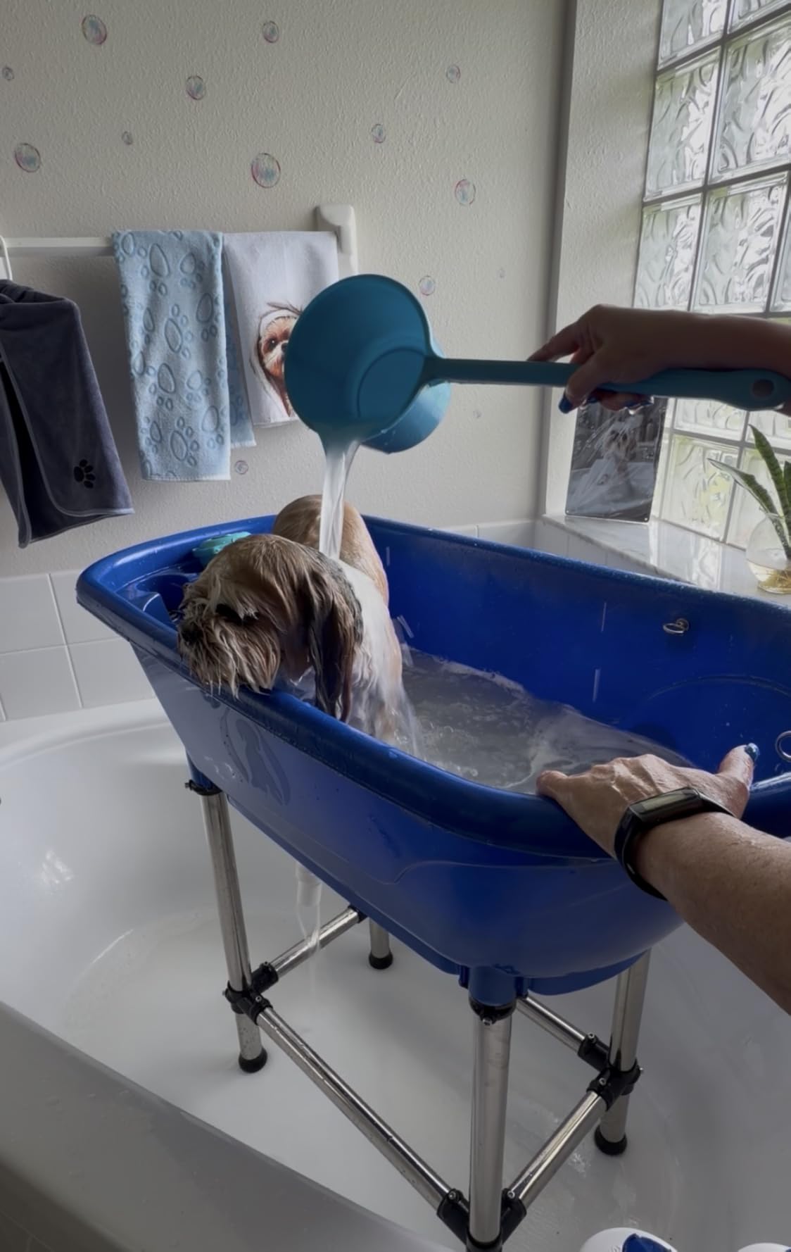 Flying Pig Pet Dog Cat Portable Bath Tub (White, 37.5