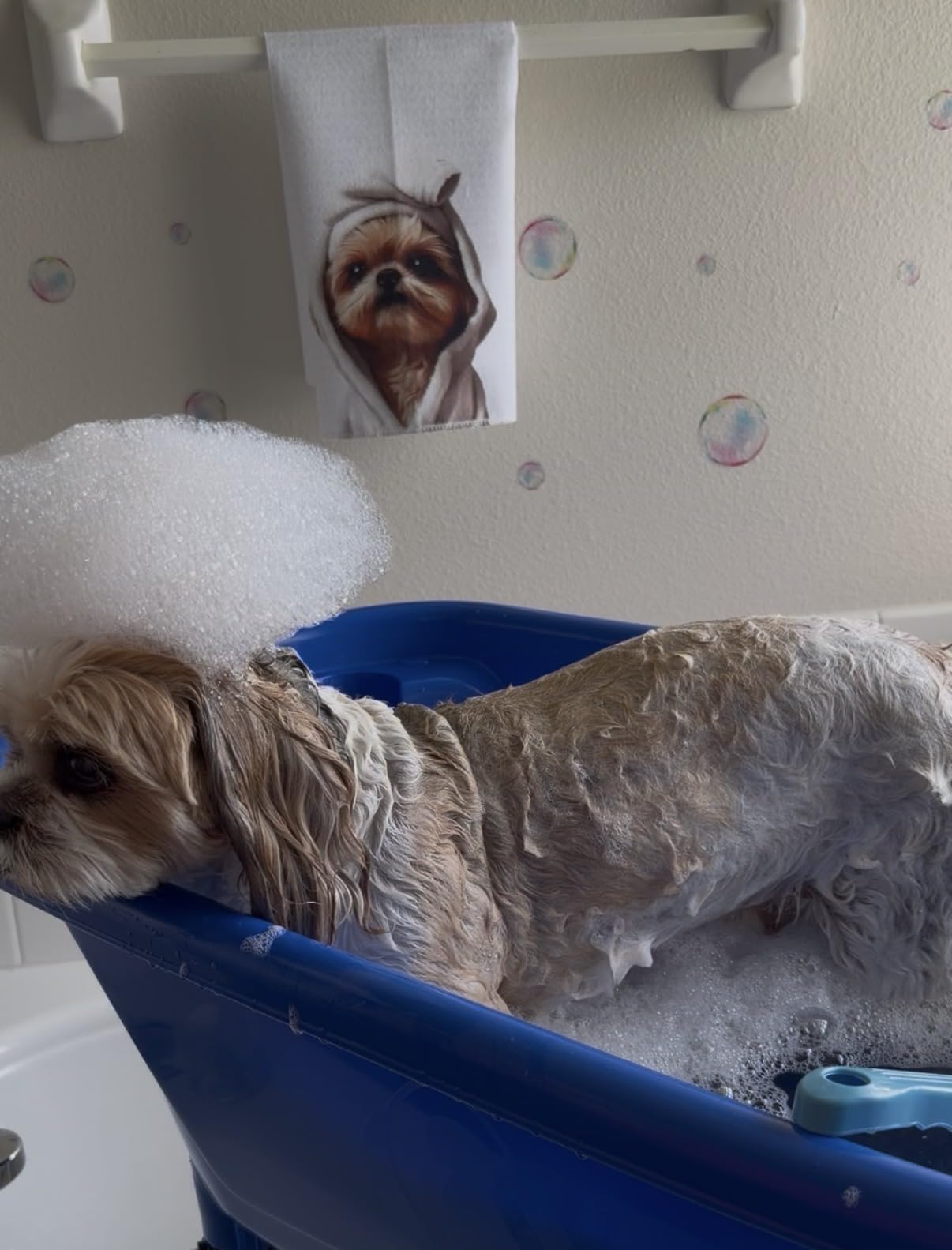 Flying Pig Pet Dog Cat Portable Bath Tub (White, 37.5
