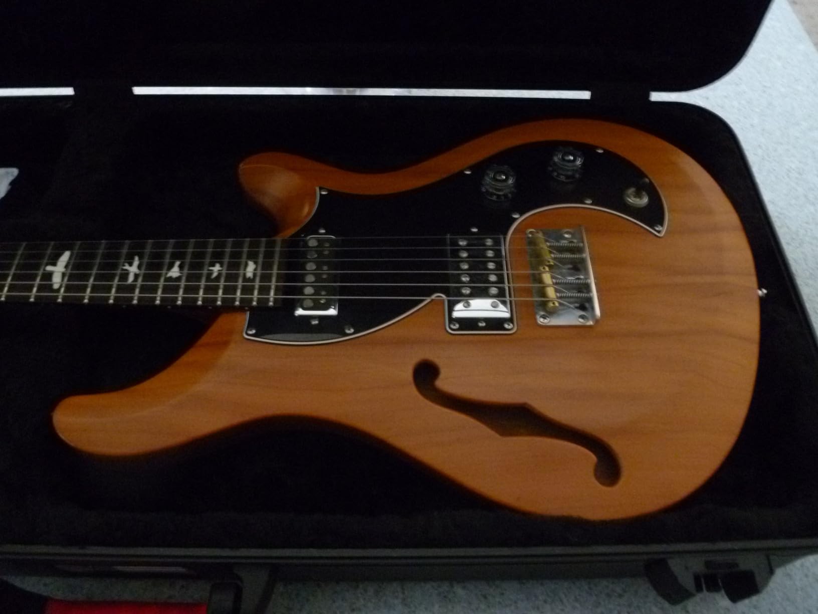 Gator Cases Molded Flight Case for Strat/Tele Style Electric Guitars with TSA Approved Locking Latch customer photo 2