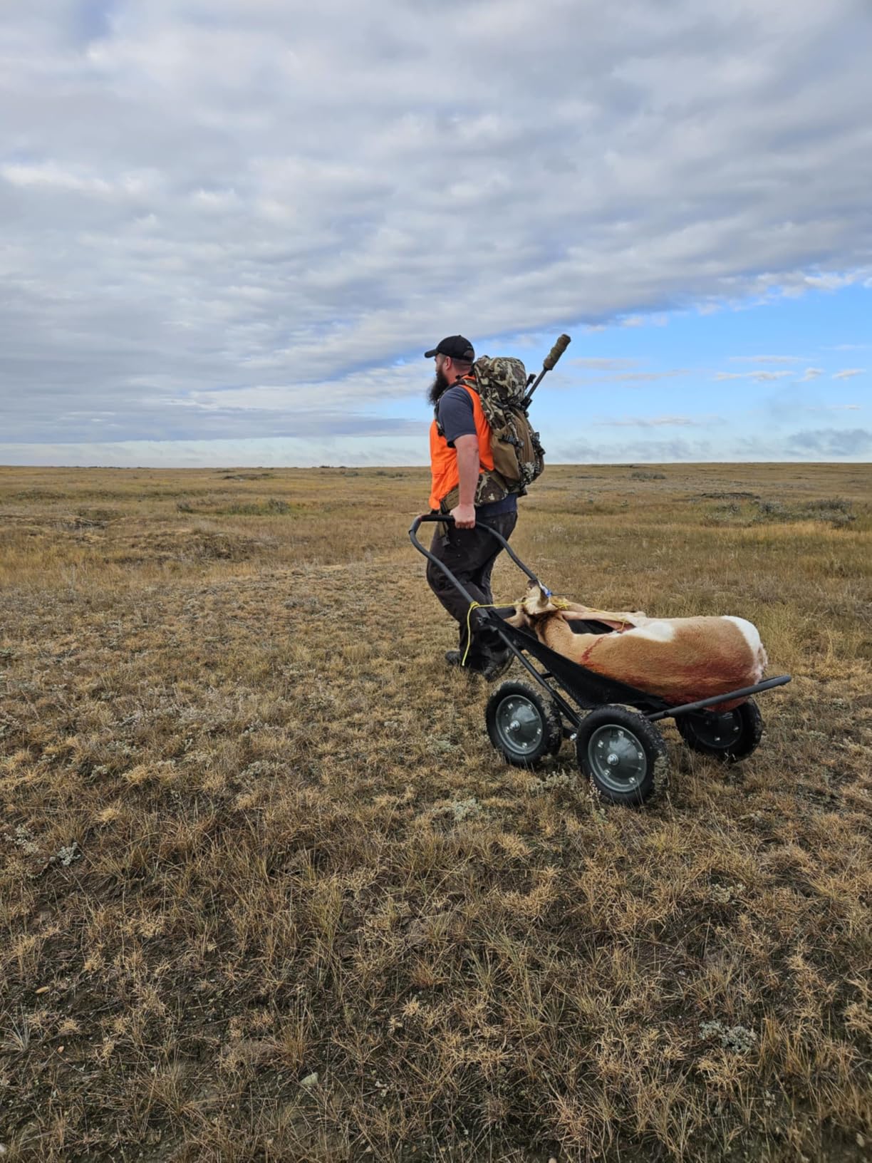Hawk Crawler All-Terrain Multi-Use Deer Cart with Dual Pivoting Axles, 500 lb Capacity, Black - Hunting Hauler with Folding Frame and Versatile Sling for Easy Hauling of Game, Firewood & Bait customer photo 1