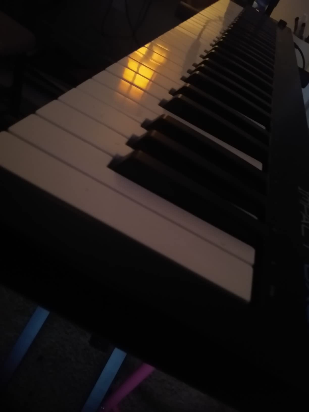 Nektar Impact GX61 USB MIDI Controller Keyboard with Nektar DAW Integration customer photo 2