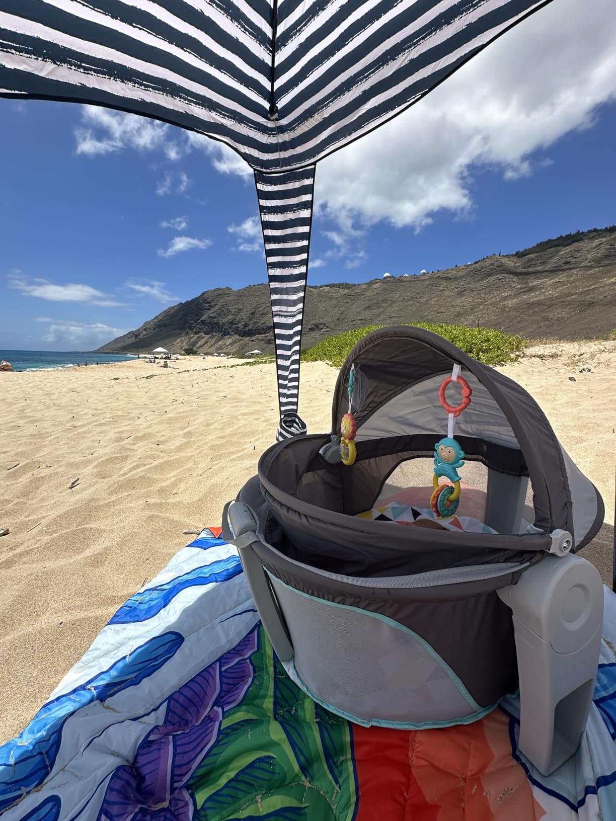 Fisher-Price Portable Bassinet On-The-Go Baby Dome - Travel Play Space with Developmental Newborn Toys & Canopy customer photo 1