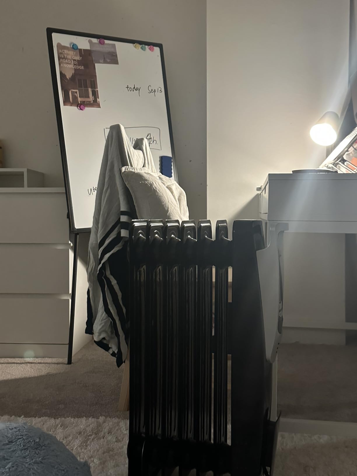 PELONIS Radiator Heater for indoor use Large Room with Remote, Thermostat & LED Display, Quiet Oil Filled Heater with 5 Temperature Settings, Overheat & Tip-Over Protection, Silver customer photo 2