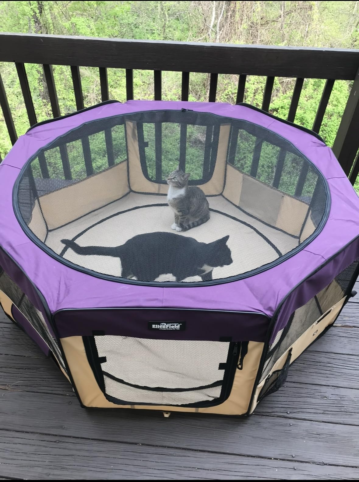 EliteField 2-Door Soft Pet Playpen (2 Year Warranty), Exercise Pen, Multiple Sizes and Colors Available for Dogs, Cats and Other Pets (48