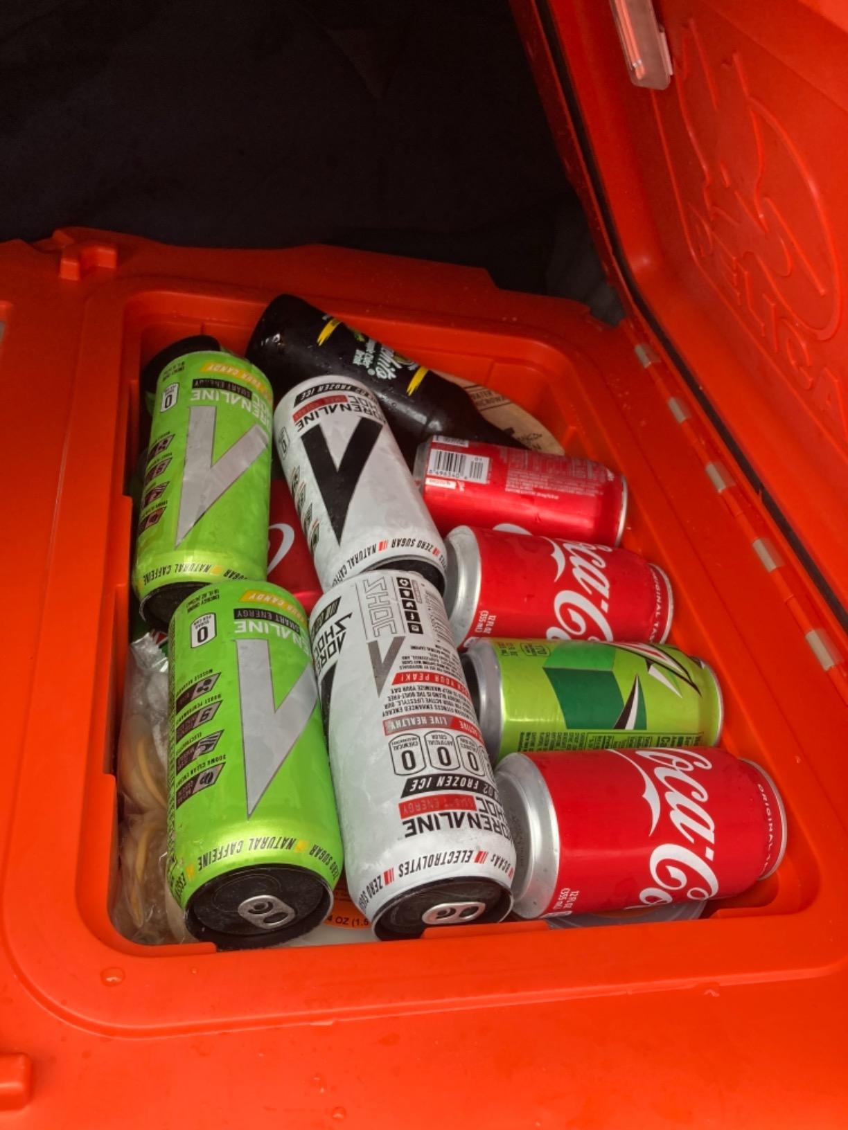 Pelican 30 Quart Elite Cooler customer photo 1