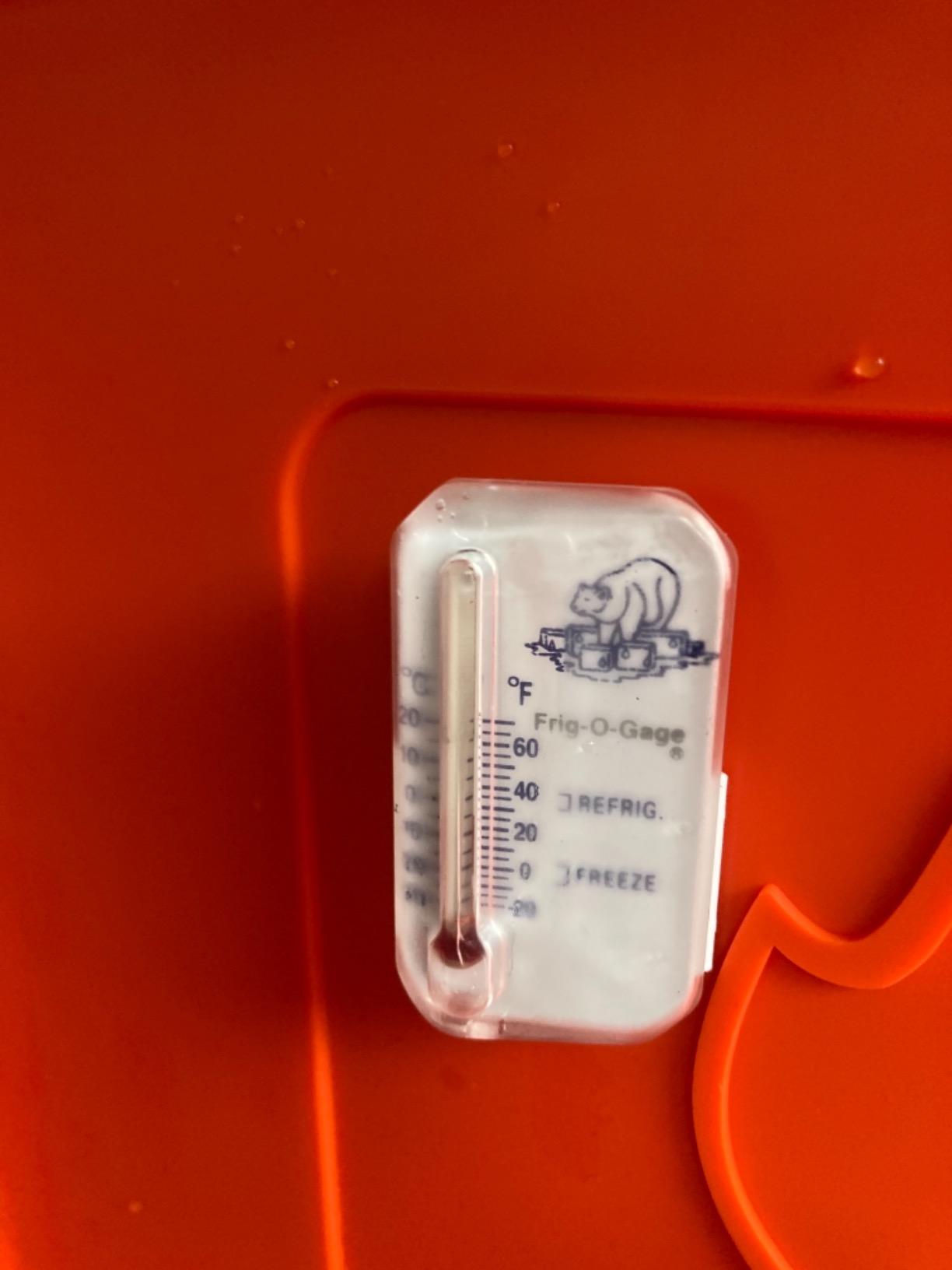 Pelican 30 Quart Elite Cooler customer photo 2