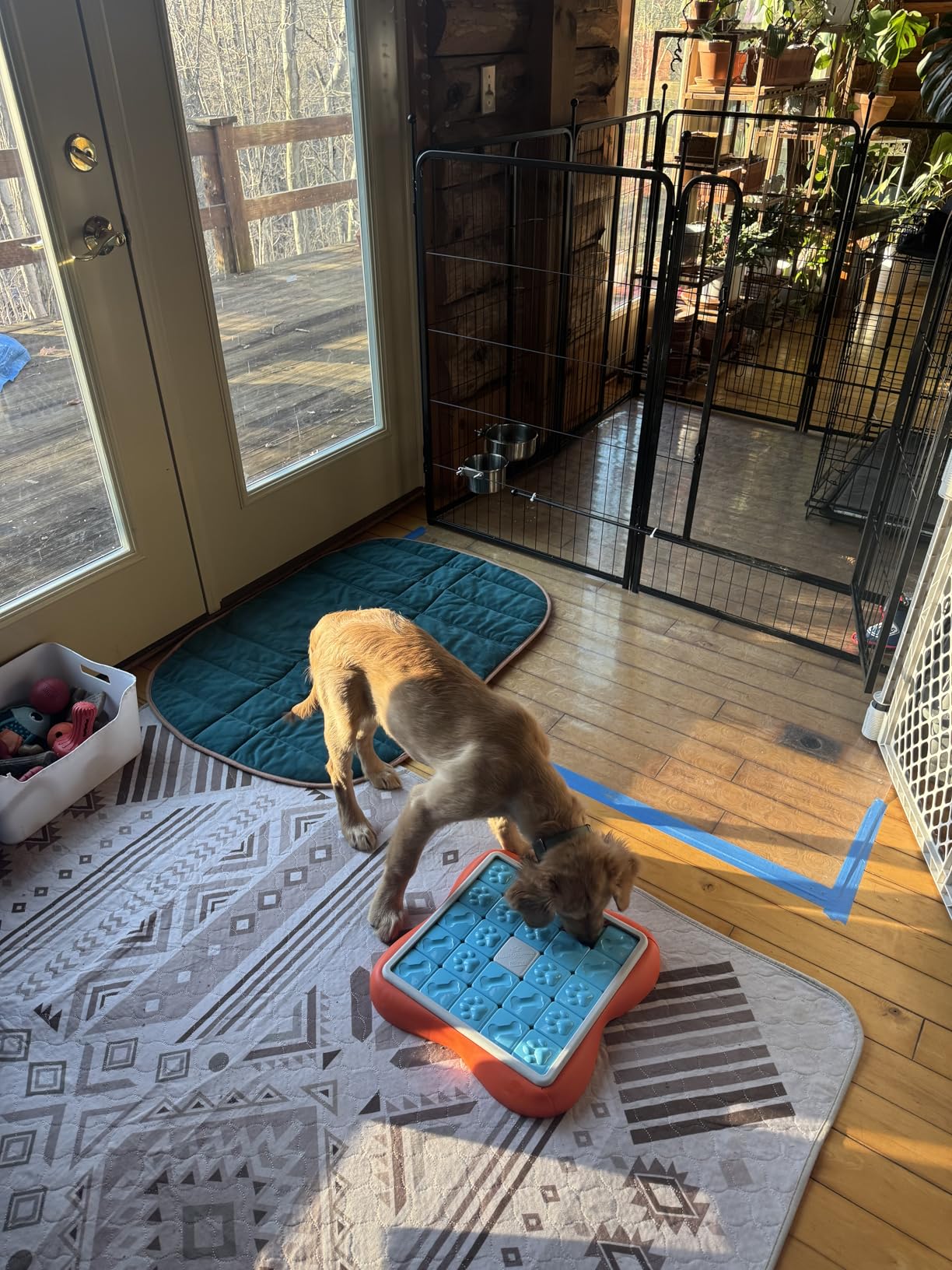 Outward Hound by Nina Ottosson Dog Twister - Interactive Treat Puzzle Enrichment Toy, Level 3 Advanced customer photo 1