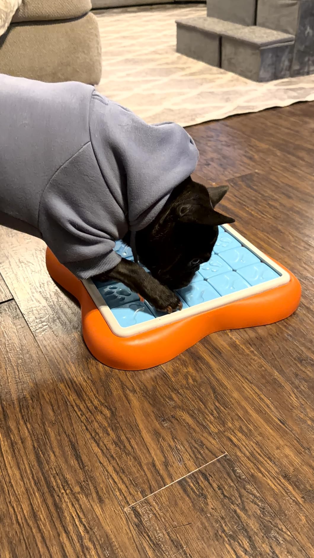 Outward Hound by Nina Ottosson Dog Twister - Interactive Treat Puzzle Enrichment Toy, Level 3 Advanced customer photo 2