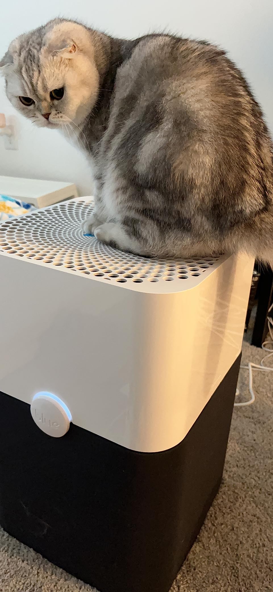 BLUEAIR Air Purifier Large Room, Air Cleaner for Dust Pet Dander Smoke Mold Pollen Bacteria Allergen, Odor Removal, for Home Bedroom Living Room, Washable Pre Filter, HEPASilent, Blue 211+ (Non-Auto) customer photo 1