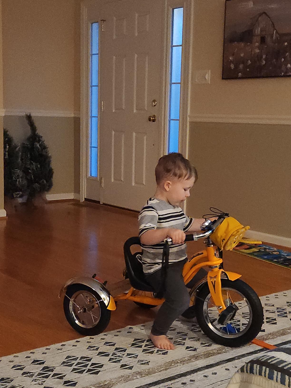 Schwinn Roadster Bike for Toddler, Kids Classic Tricycle, Low Positioned Steel Trike Frame with Bell and Handlebar Tassels, Rear Deck Made of Genuine Wood, for Boys and Girls Ages 2-4 Year Old, Orange customer photo 1
