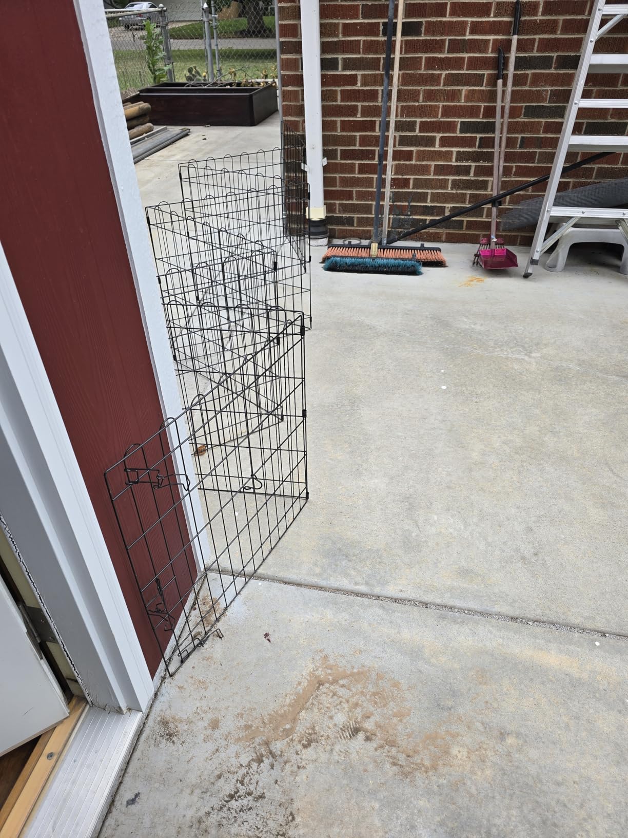 Amazon Basics Portable Foldable Octagonal Metal Exercise Dog Playpen, Indoor/Outdoor Pet Fence with Single Door, 8 Panels, Small, 30 Inches, Black customer photo 2