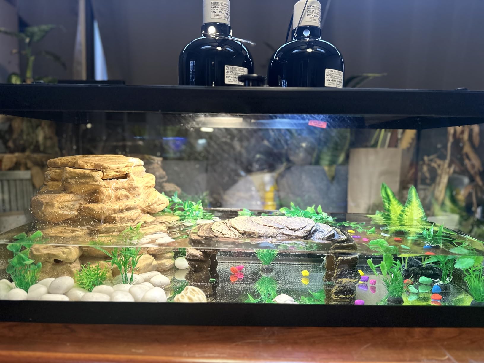 Tetra Aquatic Turtle Deluxe Kit 20 Gallons, aquarium With Filter And Heating Lamps, 30 IN (NV33230) customer photo 2
