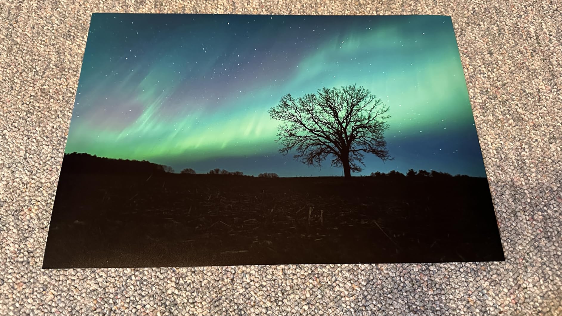 Koala Ultra Premium Photo Paper 8.5 x 11 In Satin Photo Printer Paper for Inkjet Printer Water-Resistant Semi Gloss 50 Sheets 72lb customer photo 2