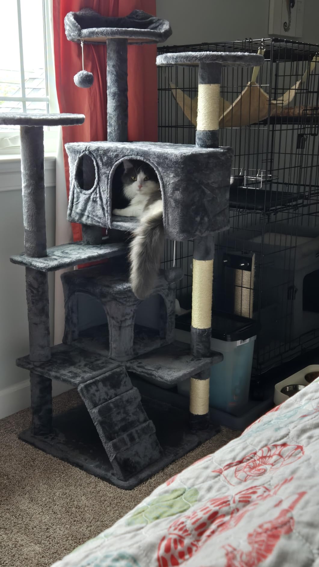 Yaheetech 54in Cat Tree, Multi-Level Cat Tower with Spacious Kitten-ear Perch, 2 Cozy Caves, Scratching Posts, Climbing Ladder, 2 Plush Balls, Durable Pet House Furniture for Indoor Kittens, Dark Gray customer photo 2
