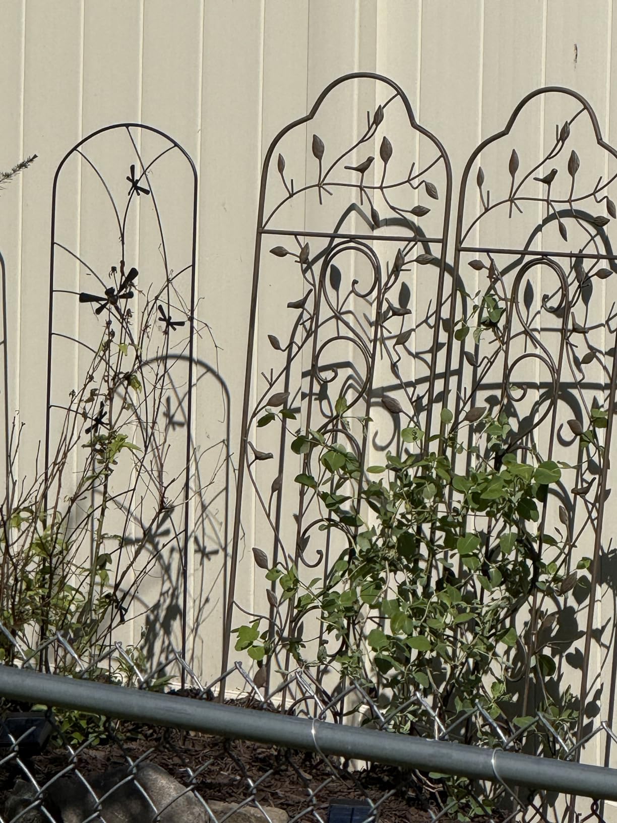 Best Choice Products 60x15in Iron Garden Trellis, Arched Outdoor Decoration w/Branches, Birds for Lawn, Garden, Backyard, Climbing Plants - Bronze customer photo 1