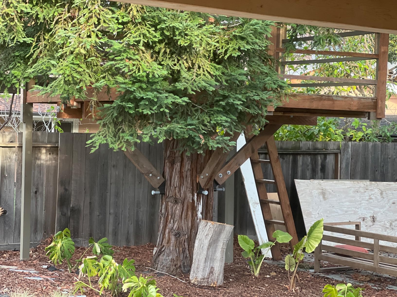Treehouse Brackets & Hardware (Static Bracket for 1.25